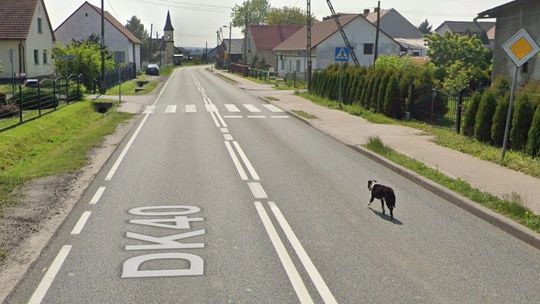 59-latka z Kędzierzyna-Koźla straciła prawo jazdy za przekroczenie prędkości o 56 km/h