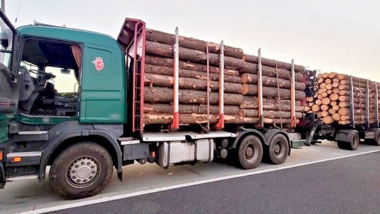 60-tonowiec z niesprawnymi hamulcami przewoził drewno. ZDJĘCIA