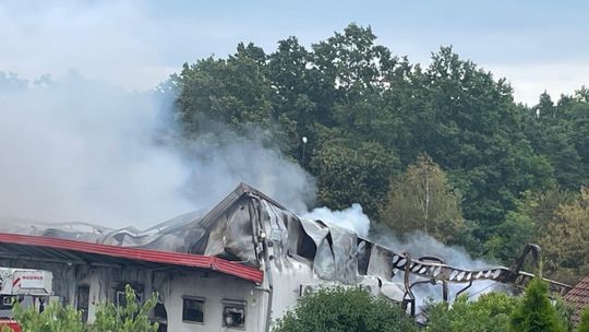 Akcja gaśnicza trwała całą noc. Wciąż trwa dogaszanie. ZDJĘCIA Akcja gaśnicza trwała całą noc. Wciąż trwa dogaszanie. ZDJĘCIA