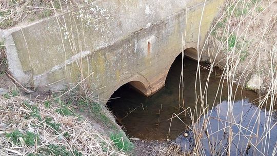 Apel w sprawie przepustu pod ulicą Spacerową w Reńskiej Wsi