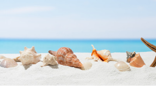 Atrakcje na Helu - co zwiedzić podczas urlopu 2020?