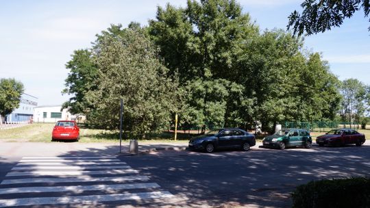 Będzie to wyjątkowo krótka sesja Rady Miasta Kędzierzyn-Koźle