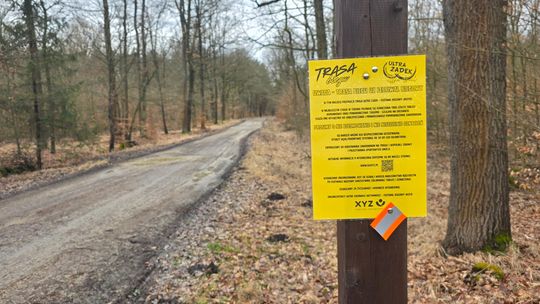 Biegacze wystartują już 7 marca. Najdłuższe trasy to dystans 100 kilometrów! Biegacze wystartują już 7 marca. Najdłuższe trasy to dystans 100 kilometrów!