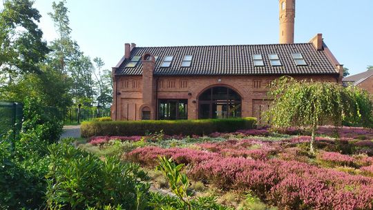 Bliżej natury, czyli dzień otwarty w Nadleśnictwie Kędzierzyn