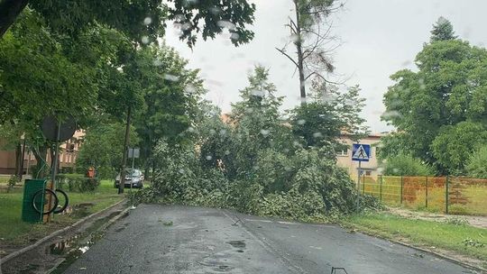 Burze z silnymi opadami mogą przejść nad powiatem kędzierzyńsko-kozielskim