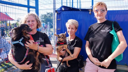 Czy na kozielskim osiedlu Zachód powstanie wybieg dla psów? ZDJĘCIA