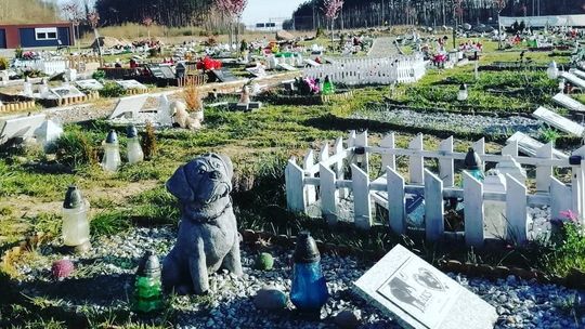 Czy w Kędzierzynie-Koźlu powstanie cmentarz dla zwierząt?