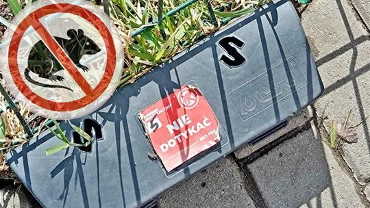 Obowiązkowa deratyzacja. 21 kwietnia to ostatni dzień