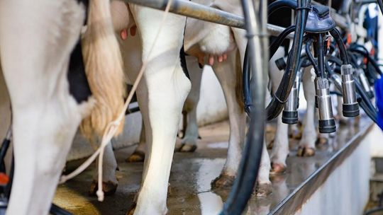Dlaczego dokładna kontrola parametrów technicznych to klucz do sukcesu w produkcji rolnej