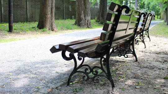 Do zdobycia jest 3000 zł z projektu "Zielona ławeczka" Do zdobycia jest 3000 zł z projektu "Zielona ławeczka"