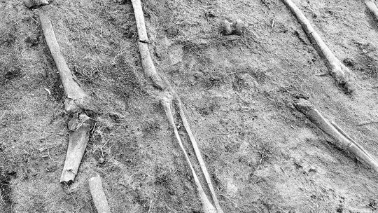 Dowody okrucieństwa ukryte pod ziemią