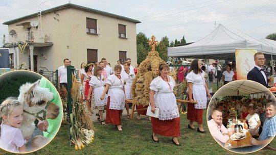 Dożynki w Dzielnicy. Nie tylko alpaki zrobiły furorę. ZDJĘCIA