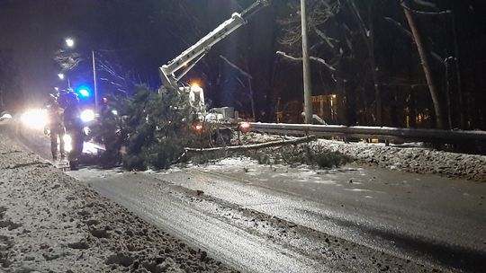 Drzewa łamały się, jak przy silnych wichurach