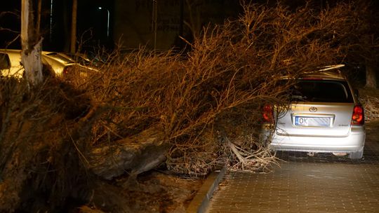 Duże straty po nocnych wichurach