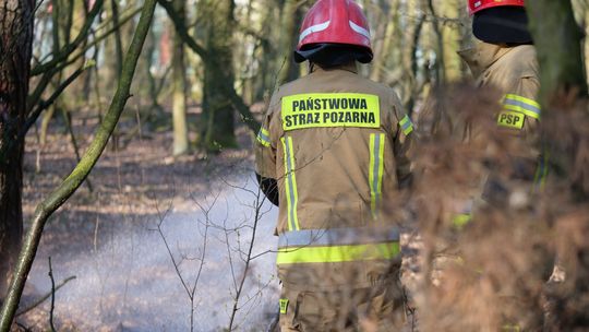 Dwa podpalenia w lesie pomiędzy Pogorzelcem a Brzeźcami