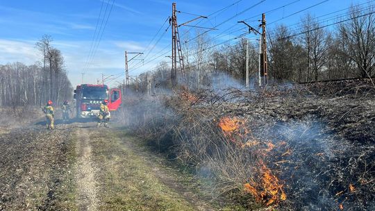 Dwa pożary suchej trawy w okolicy mostu kolejowego nad kanałem