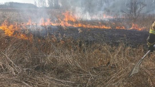 Dwa pożary w krótkim czasie w gminie Polska Cerekiew