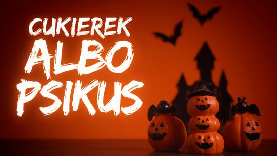 Dynia, kostium i zdrowy rozsądek – przewodnik po bezpiecznym Halloween