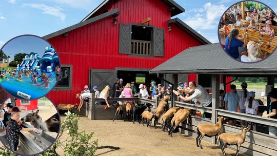 Dzieci z gminy Polska Cerekiew odwiedziły Park Lipowa. ZDJĘCIA