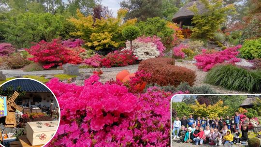 Ekologia i piękno przyrody. W magicznym ogrodzie. ZDJĘCIA Ekologia i piękno przyrody. W magicznym ogrodzie. ZDJĘCIA