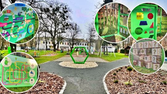 Ekopracownia pod chmurką. Przedszkolaki z „Piątki” odkrywają świat w nowy sposób. ZDJĘCIA