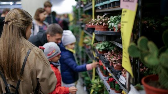 Festiwal roślin w ten weeknd odbędzie się w Kędzierzynie-Koźlu