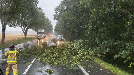 Front burzowy przeszedł nad naszym regionem. Strażacy interweniowali 98 razy, na szczęście nie było osób poszkodowanych