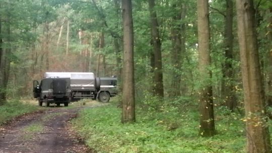 Grzybiarz odkrył w lesie prawdziwy arsenał z czasów II wojny światowej