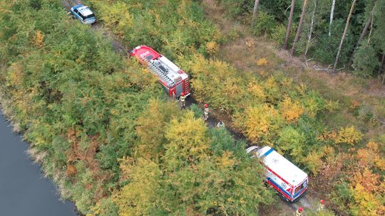 Grzybiarz zasłabł w lesie. Interweniowały służby ratunkowe