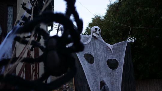 Halloweenowy ogród na Żabieńcu czeka na odważnych