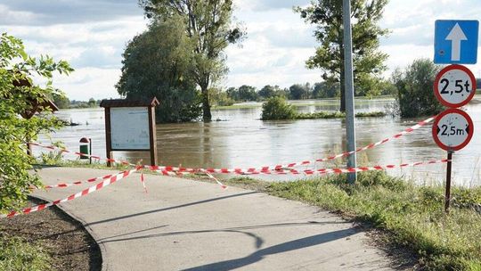 Harcerze z Kędzierzyna-Koźla organizują akcję pomocową