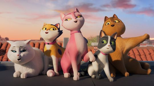 Helios dla dzieci. Pokazy przedpremierowe "Miss Moxy. Kocia ekipa" Helios dla dzieci. Pokazy przedpremierowe "Miss Moxy. Kocia ekipa"