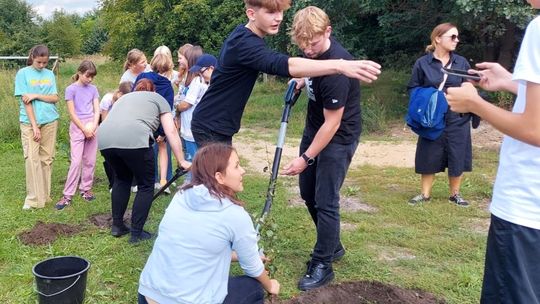 I ty możesz posadzić swoje drzewko