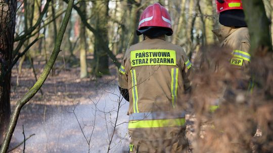 Idzie wiosna, uaktywnił się podpalacz suchych traw