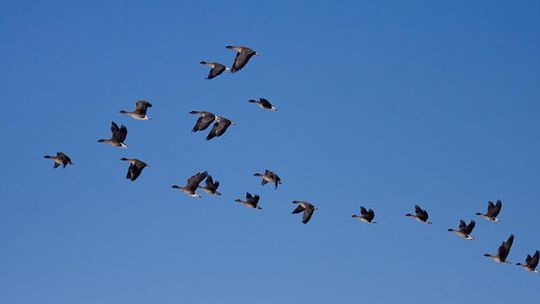 Idzie zima? Ten filmik naszego czytelnika powinien dawać do myślenia
