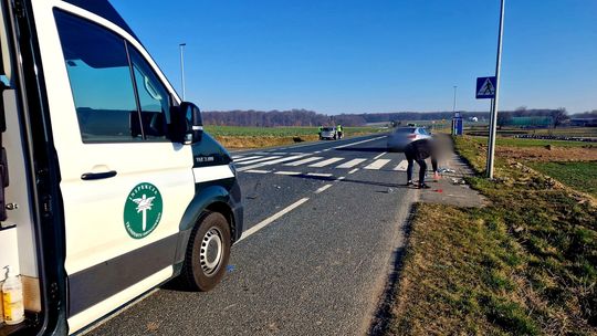 Inspektorzy z Kędzierzyna-Koźla pomogli poszkodowanym w kolizji drogowej