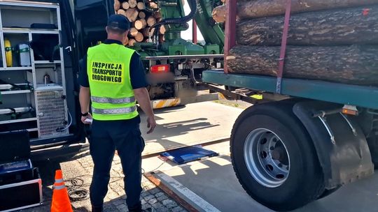 Inspektorzy z Kędzierzyna-Koźla zatrzymali przeładowany transport drewna
