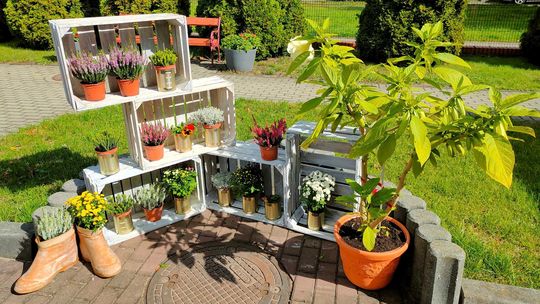 Integracyjne eko-strefy w Kędzierzynie-Koźlu