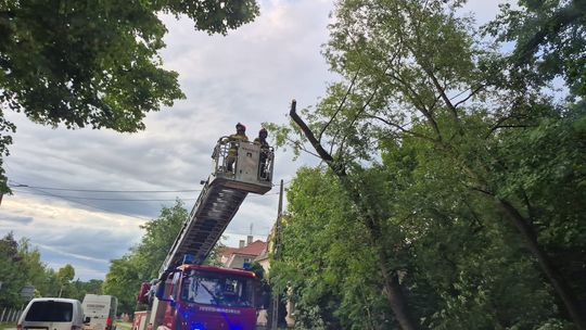 Intensywne opady deszczu i porywisty wiatr nad powiatem. Na szczęście obyło się bez większych strat