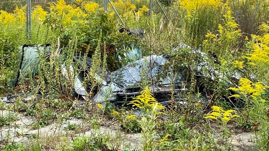 Interwencja naszego czytelnika. Kto i po co tłucze szyby w tym miejscu?