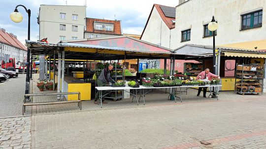 Jak funkcjonują targowiska miejskie w Kędzierzynie-Koźlu?