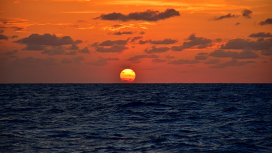 Jak Netflix pomógł polskiemu dramatowi historycznemu dotrzeć do widzów w ponad 70 krajach? Jak Netflix pomógł polskiemu dramatowi historycznemu dotrzeć do widzów w ponad 70 krajach?