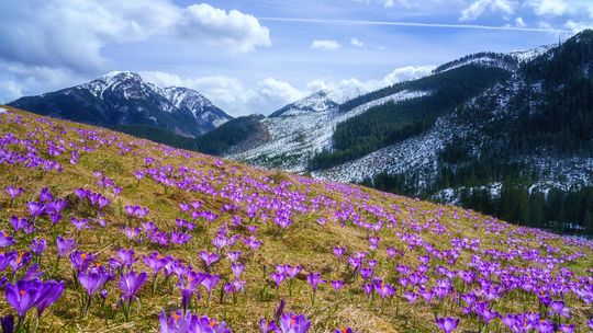 Jak spędzić weekend w górach? Poznaj najlepsze propozycje na weekendowy wypad