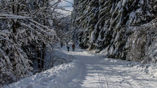 Jak wytrwać w noworocznym postanowieniu i rzucić palenie?