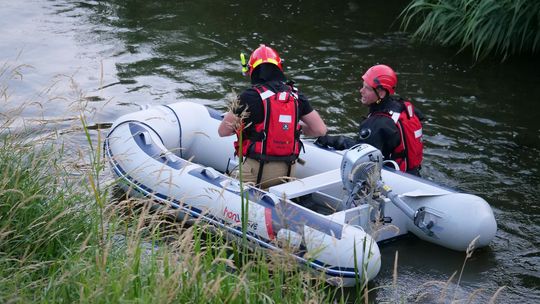 Jelonek wpadł do rzeki Kłodnicy. Interweniowali strażacy