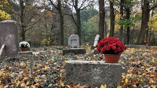 Jesienne porządki na cmentarzu żydowskim w Dębowej