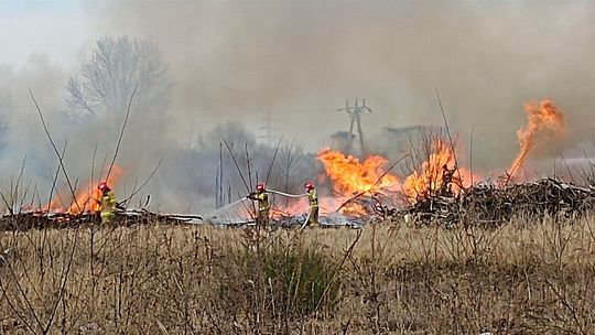 Jest bardzo źle. Liczba pożarów w porównaniu do ubiegłego roku wzrosła ponad dwukrotnie!