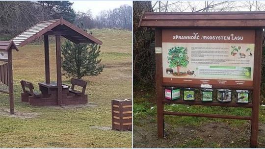 Jest na czym zawiesić oko. Dębowa coraz atrakcyjniejsza