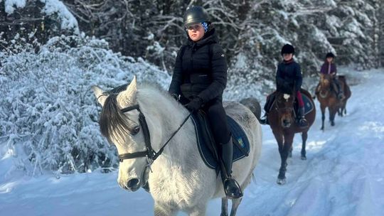 Jeździeckie warsztaty zimowe w siodle 2026. Udział jest bezpłatny!