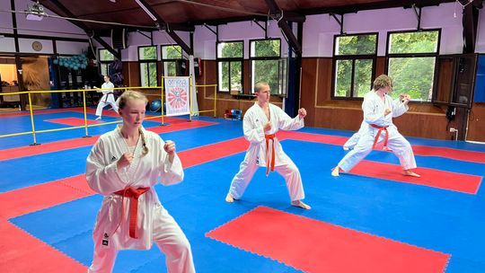 Karatecy wracają do treningów. I ty możesz do nich dołączyć